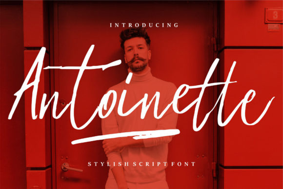 Antoinette: A Romantic Handwritten Font