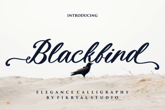 Blackbird: A Script Font That Writes with Quiet Confidence