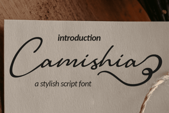 Camishia: A Font That Elevates Campaigns