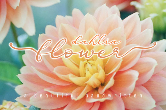 Dahlia Flower: A Romantic Script Typeface for Editorial Design